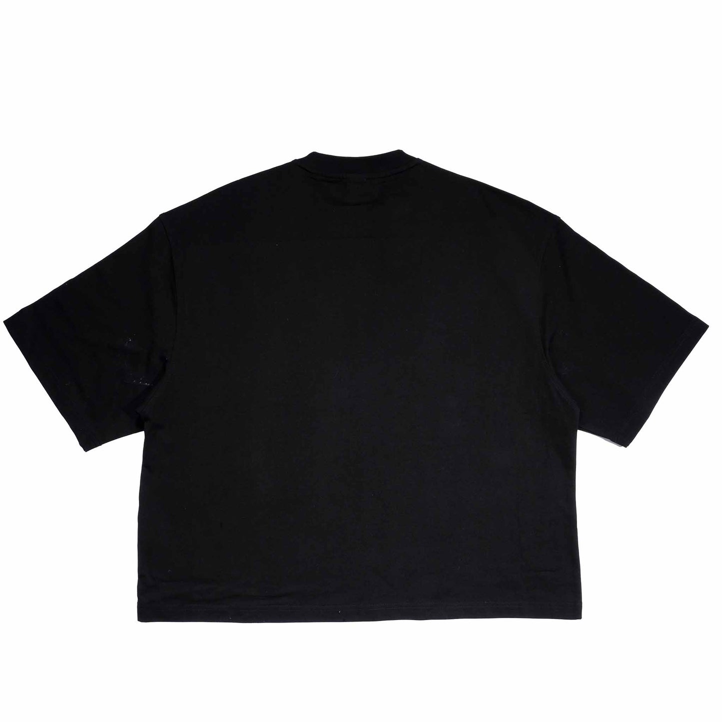 Broken Wings Oversize Crop Tee